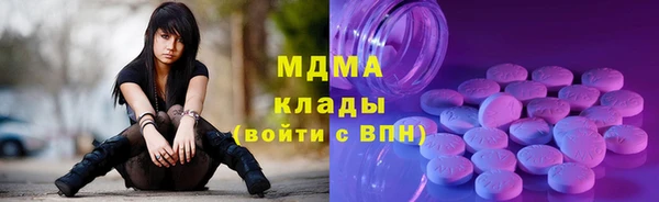 прущие грибы Вяземский